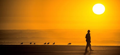 Foto d'estoc gratuïta de a l'aire lliure, adult, caminant