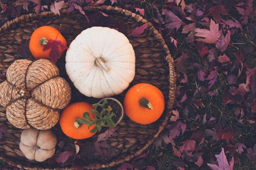 Free Top view of pumpkins and fall leaves in a basket, showcasing autumn vibes. Stock Photo