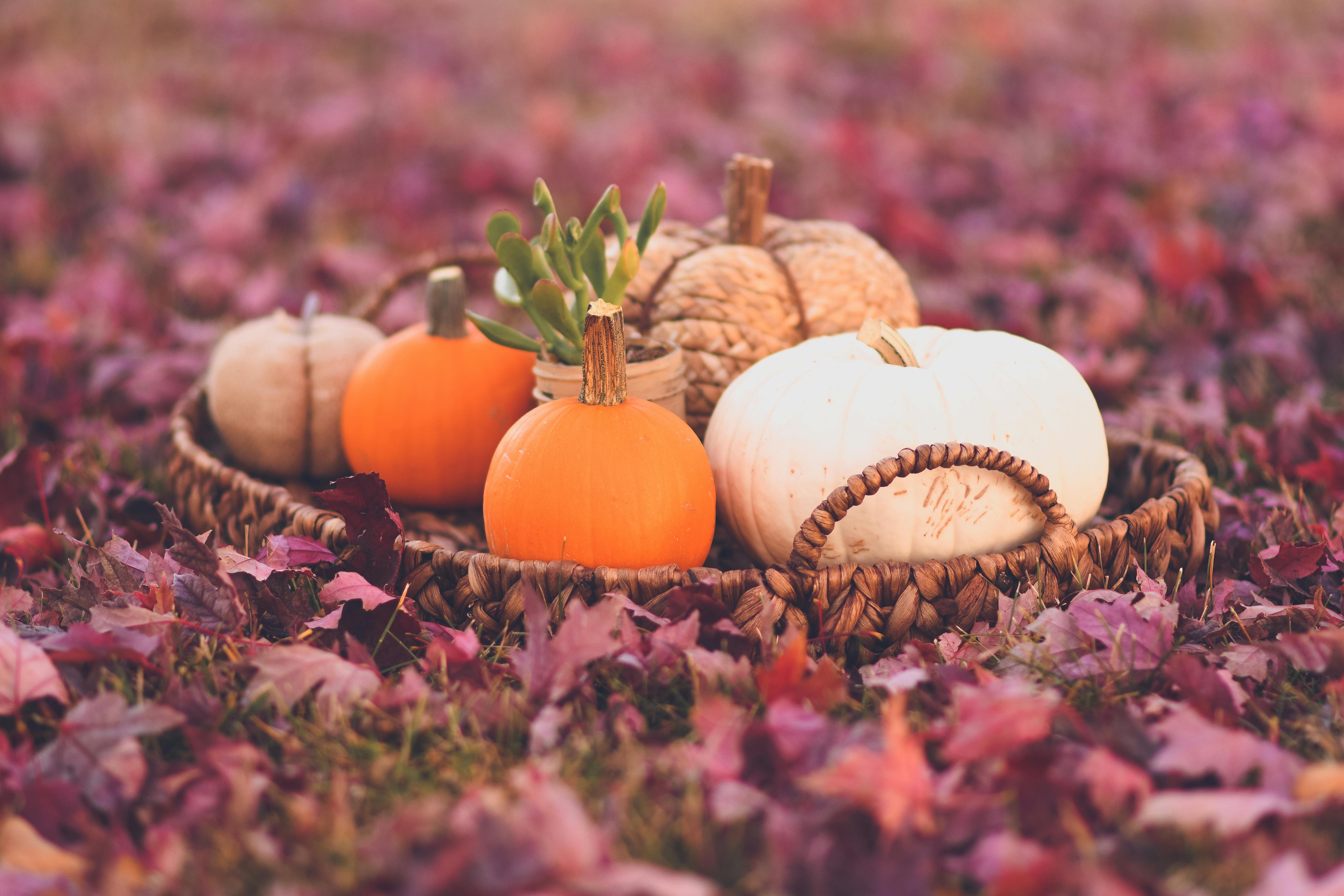 Lawn Basket Attachment - atv attachments