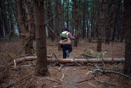 Person Carrying a Backpack Walking on the Forest