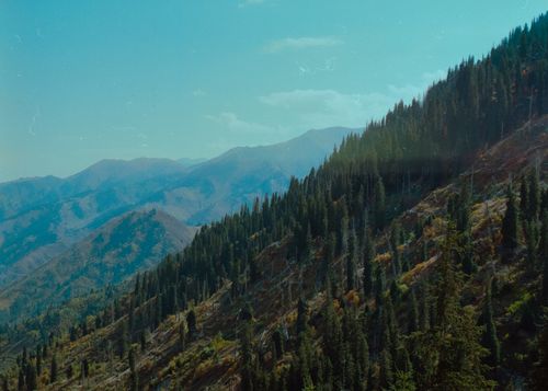 Free Breathtaking panorama of Tien Shan mountains and lush forests under a bright blue sky in Kazakhstan. Stock Photo