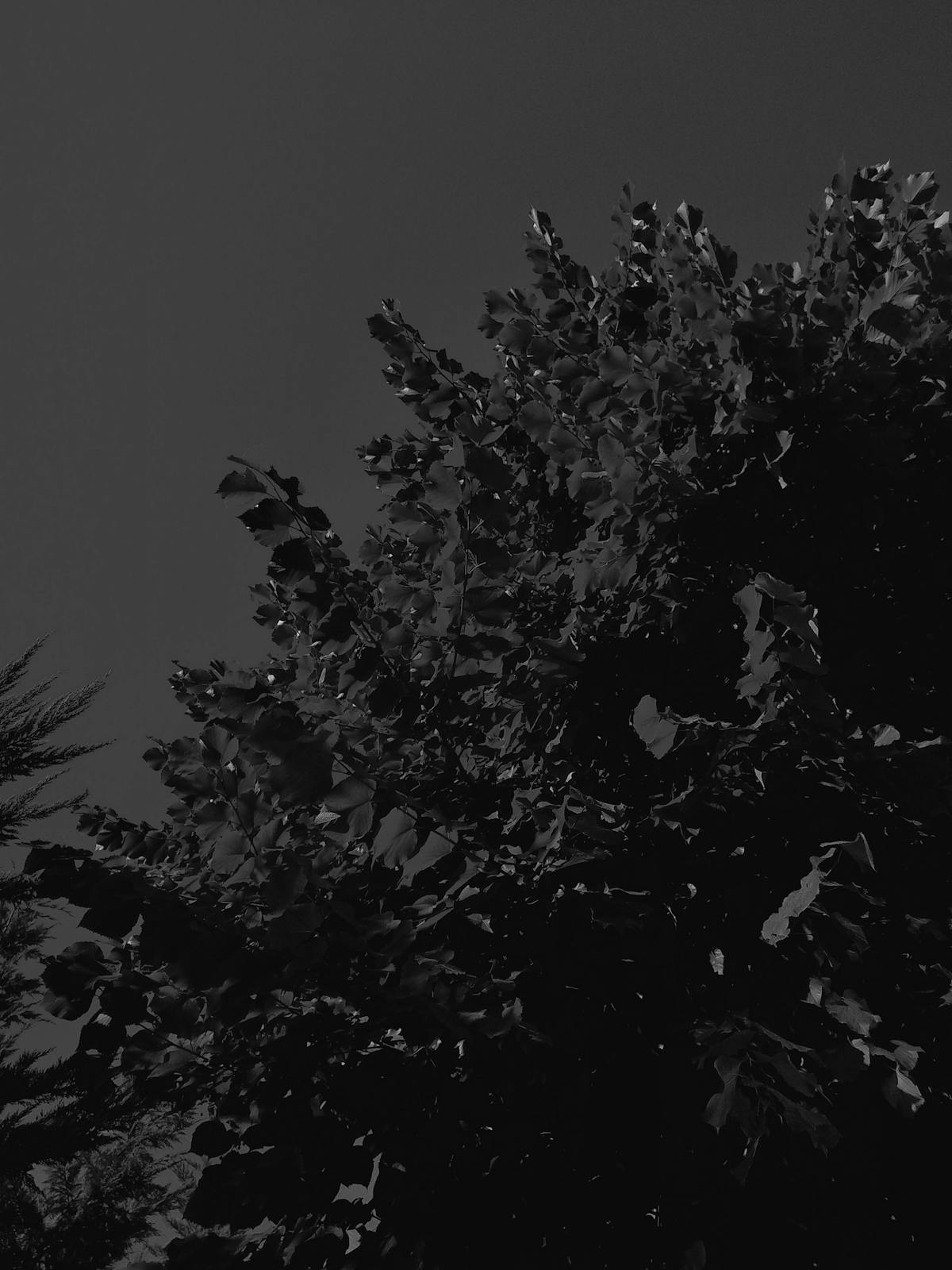 Person preparing a colorful vegetable and grain bowl in a bright kitchen