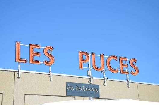 Bright neon 'Les Puces' sign on a building facade with a clear blue sky backdrop, France.