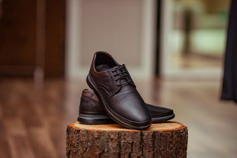Dark brown perforated leather shoes on a tree stump