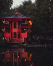 Red and Black Pagoda Temple Near Green Trees