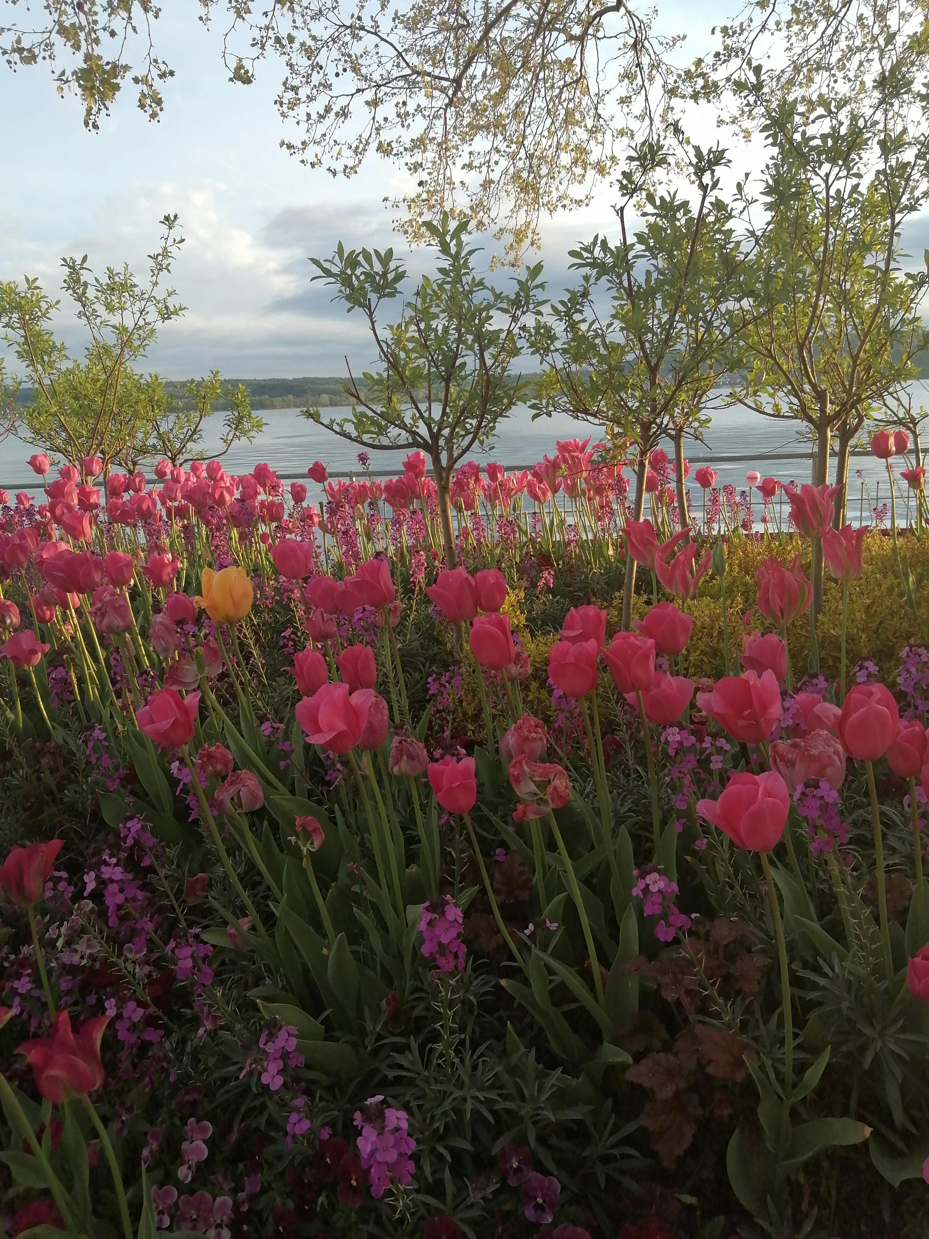 차은우 같은 청년들이 국방의 의무를 다하는 이미지 - 출처: Pexels