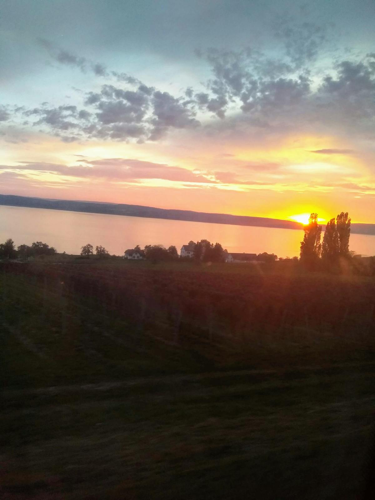 A frothy green matcha latte in a glass mug topped with foam