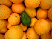 Oranges Around Green Avocado