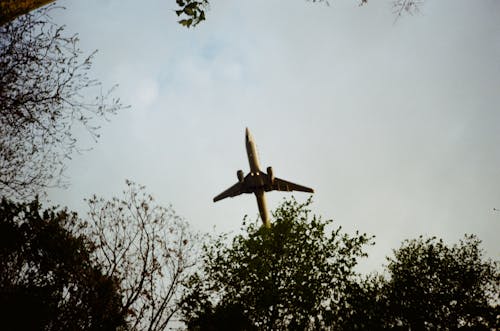 Gratis Immagine gratuita di aeroplano, cielo, modo di trasporto Foto a disposizione