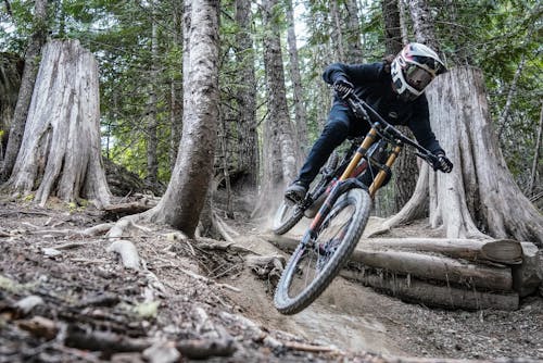Free Man Mountain Biking in Forest Stock Photo