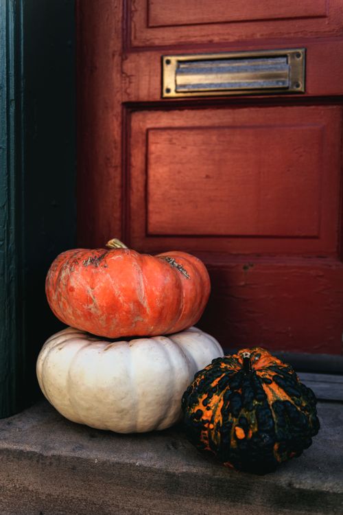 Free Aesthetic display of colorful squashes against a wooden red door, evoking fall vibes. Stock Photo