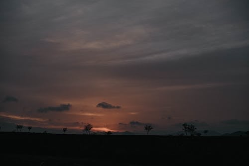 бесплатная Бесплатное стоковое фото с восход, деревья, живописный Стоковое фото
