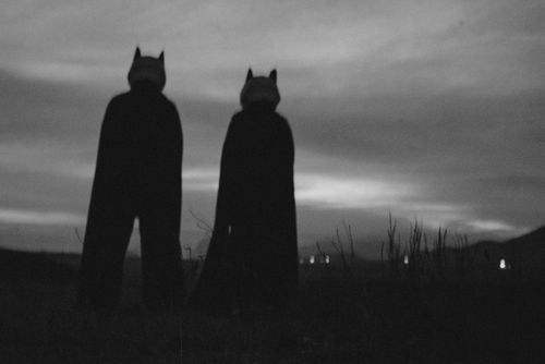 Free Two silhouetted figures in costumes stand in a field during twilight, creating a mysterious scene. Stock Photo
