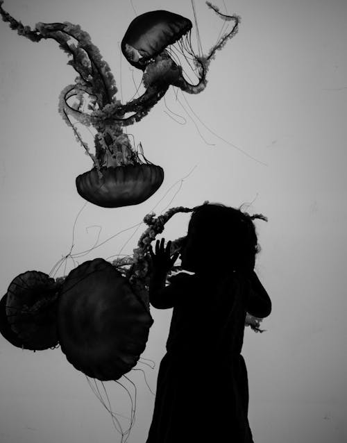A Grayscale Photo of Young Girl Looking at the Jellyfish