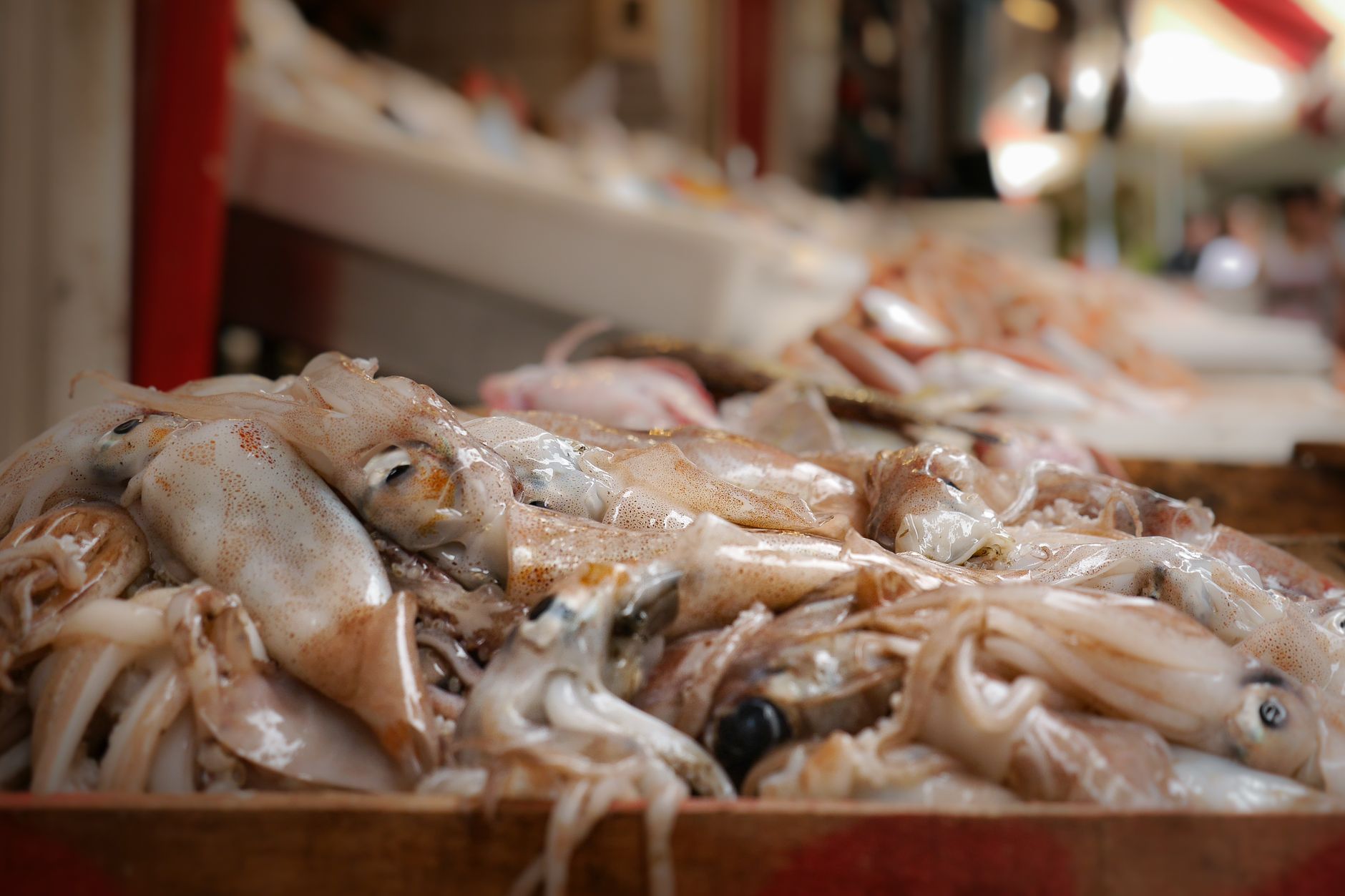 Fresh calamari parts showing mantle and tentacles on a cutting board
