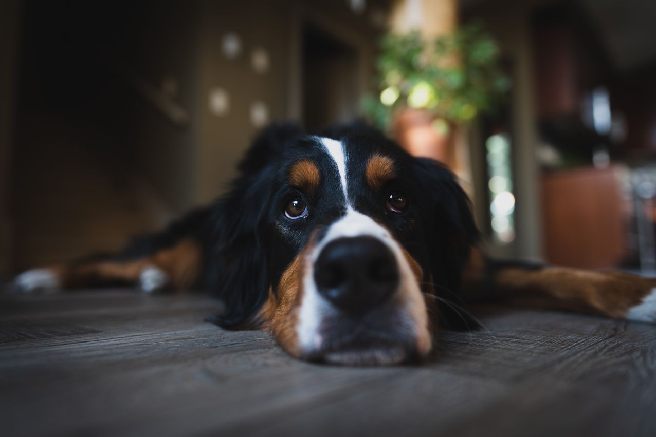 Gallery image with a fresh perspective