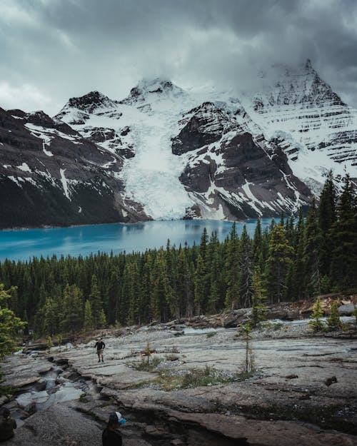 Snowcapped Mountains, Lake and Forest 