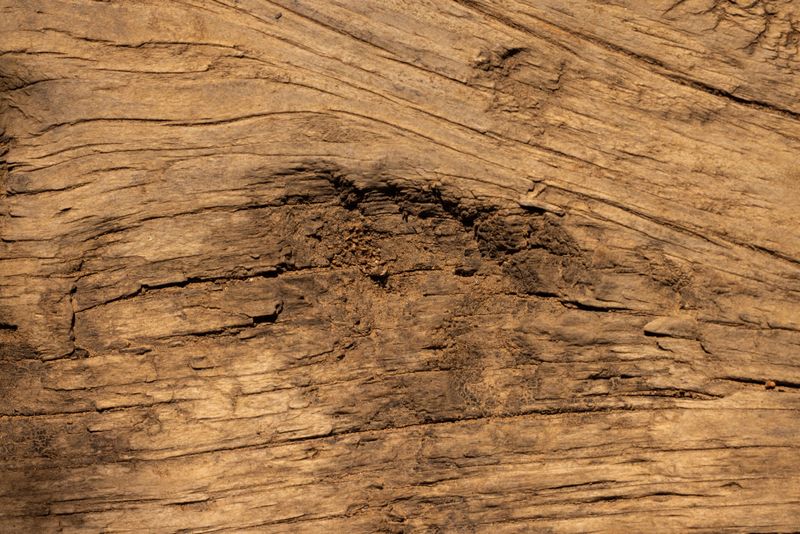 Sustainable interior materials selected by Studio Miel