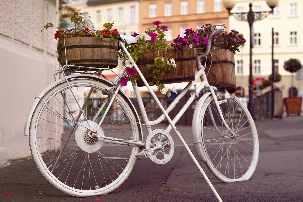 5 DIY-Blumentopf-Ideen aus einfachen Materialien — Hero-Aufnahme