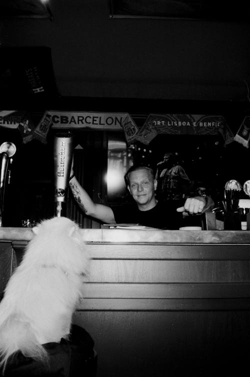Foto profissional grátis de balcão, bar, barman