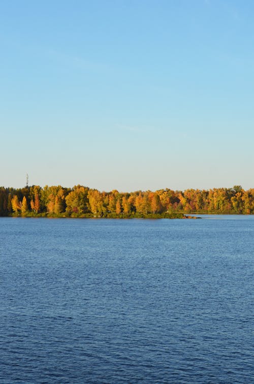 Kostenloses Stock Foto zu aussicht, blauer himmel, grüne bäume