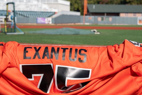 Free stock photo of baseball field, baseball jersey, cal ripken stadium