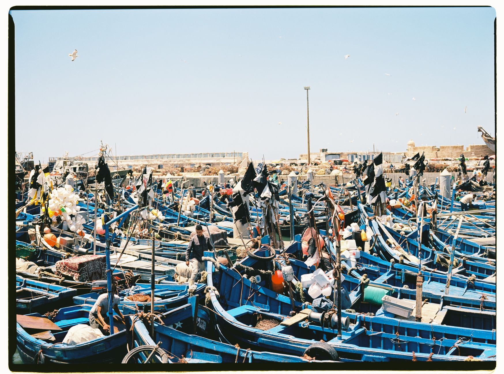Photo : Nikita Igonkin / Pexels Colorful fishing boats densely packed in the historic harbor of Essaouira, Morocco.