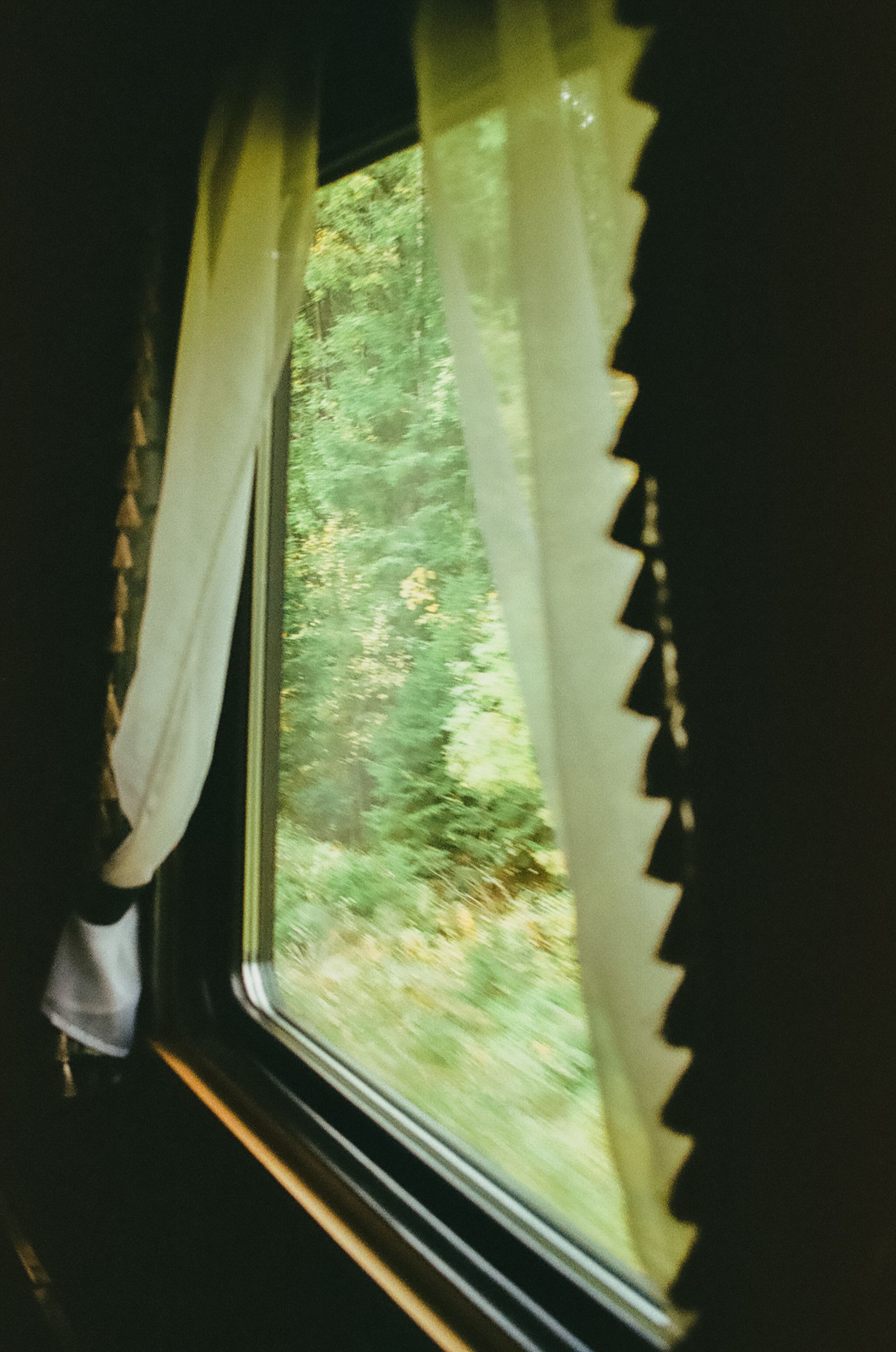 A peaceful view of lush forest through a train window with white curtains, capturing the essence of Karelia.