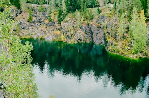 A Beautiful Lake Surrounded by Green Trees