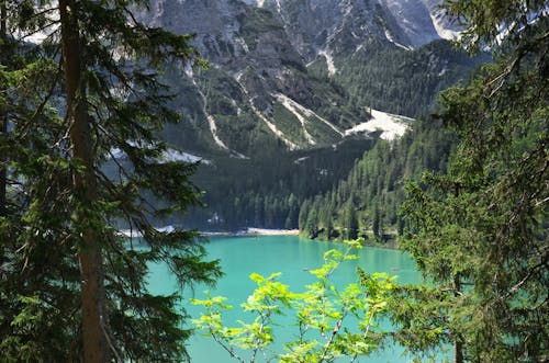 A Beautiful Lake with Turquoise Water Surrounded by Green Trees Near the Mountains