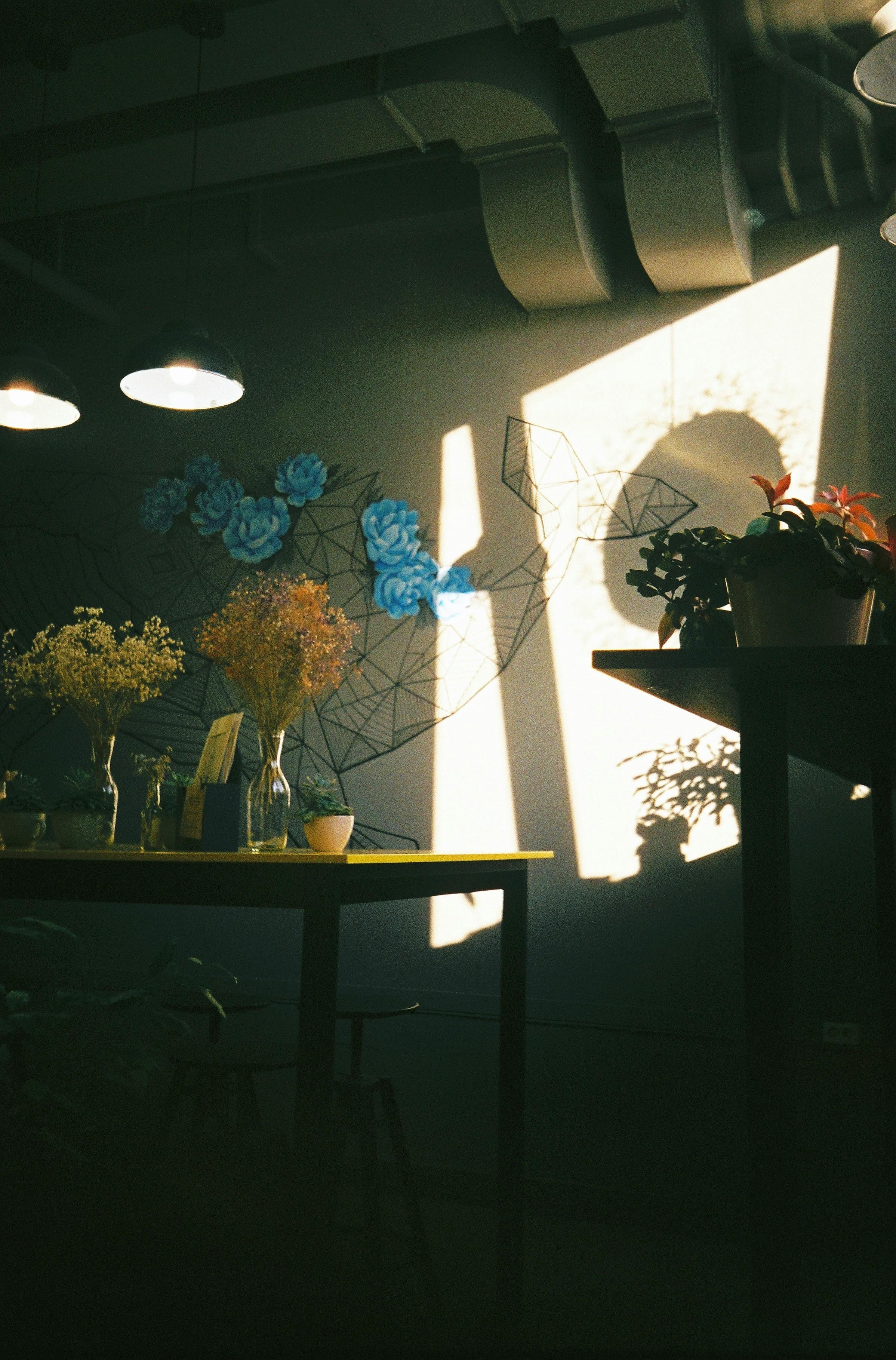 A cozy indoor scene with potted plants and geometric wall art illuminated by sunlight.