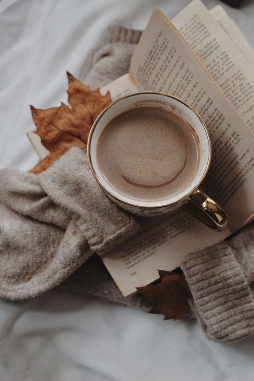 Free Warm autumn scene with a coffee cup, open book, and sweater for a cozy feel. Stock Photo