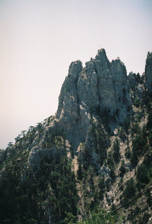 Gray Rocky Mountains with Green Trees · Free Stock Photo