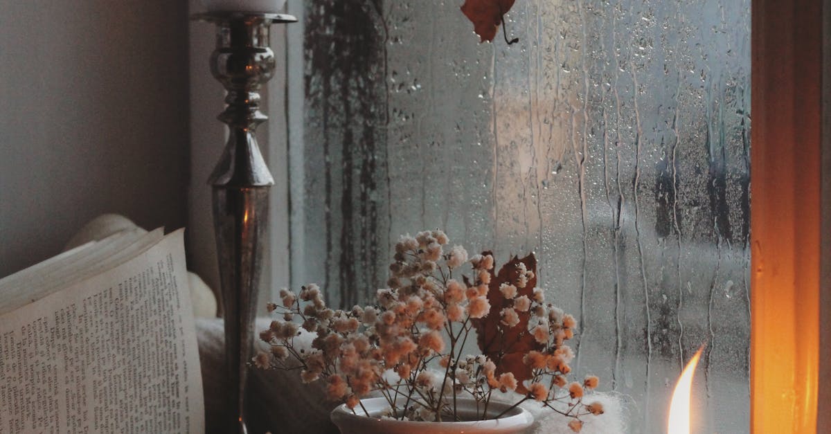 How to measure windows for replacement screens