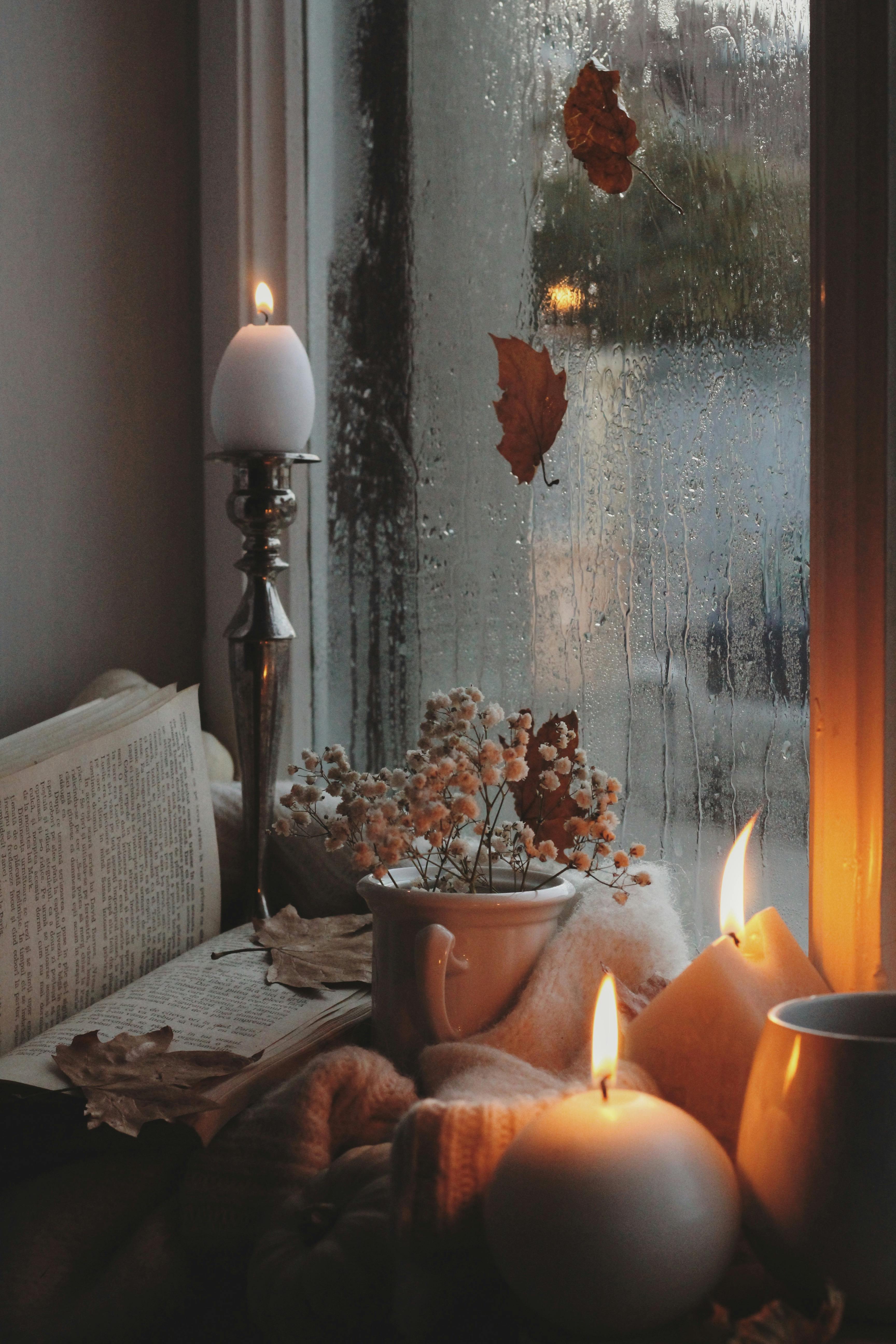 Autumn Still Life with Candlelight · Free Stock Photo
