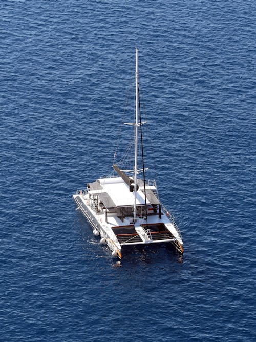 A Catamaran Sailing on the Blue Sea