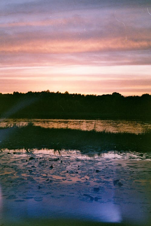 Бесплатное стоковое фото с болото, вертикальный выстрел, вечер-небо