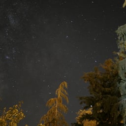 ローアングル 夜 夜空の無料の動画素材