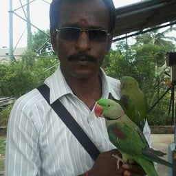 RK SARAVANAN