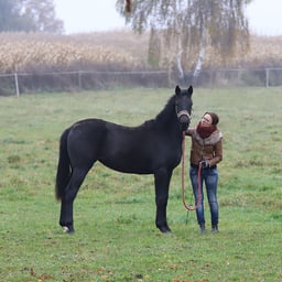 Sz Katarzyna