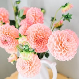 アンティーク カチーナ カチーナ人形の無料の写真素材