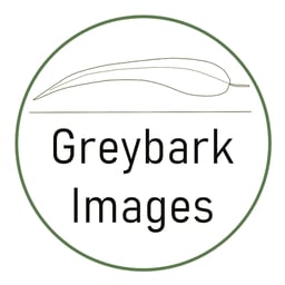 Greybark Images