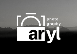 ジャイアントパンダの無料の写真素材 ジャイアントパンダの無料の写真素材