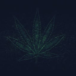 マリファナ 大麻の無料の写真素材