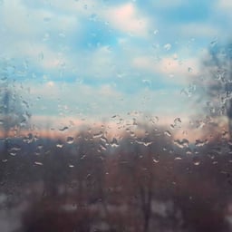 有关日落 早上的壁纸 雨滴的免费素材图片