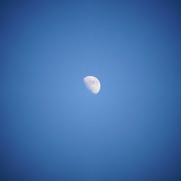 Sonya58 半月 夜空の無料の写真素材