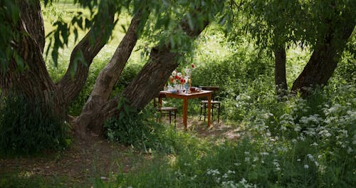 Man Walking Towards Table Set for Picnic in Garden