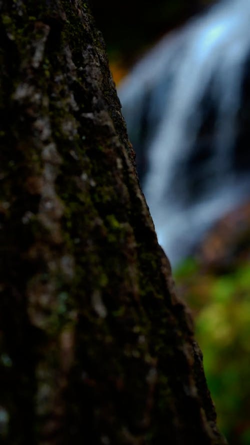 Retroactive Video of Water Flowing in Waterfall