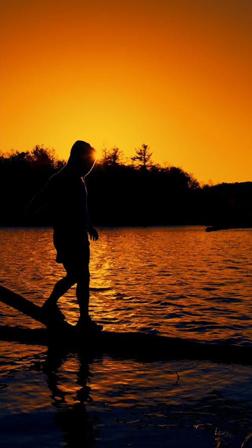 Unrecognzable Person Walking on Tree Trunk on Late During Sunset