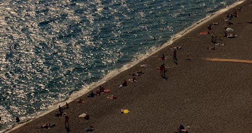 Aerial Shot of People on the Beach
